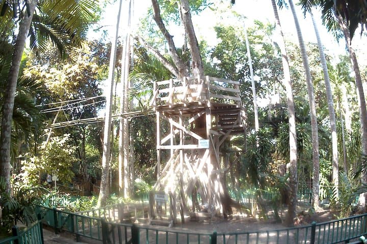 Zip Line Over Dunns River Falls — Ocho Rios Zipline & Waterfall Adventure photo 2
