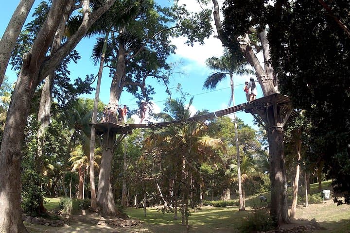 Zip Line Over Dunns River Falls — Ocho Rios Zipline & Waterfall Adventure photo 3