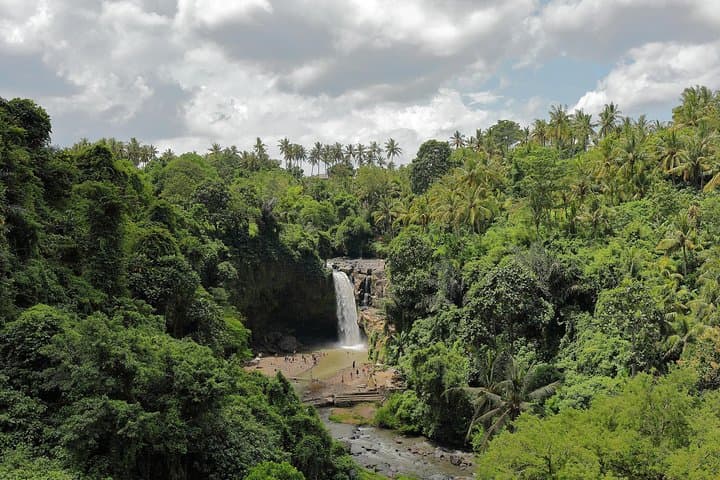 Bali Full-Day Cultural & Nature Tour — Ubud, Kintamani & Tegalalang photo 4