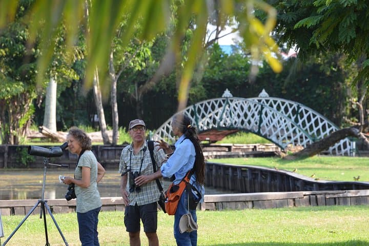 Rupununi Savanna and Kaieteur Falls: 8-Day Adventure from Georgetown photo 2
