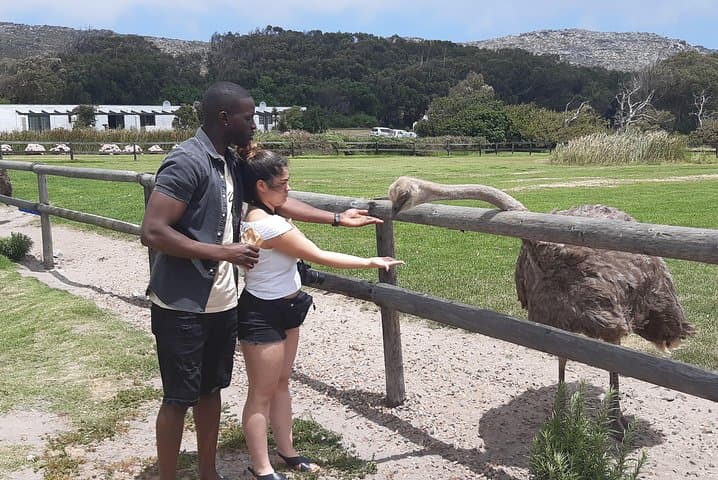 Table Mountain to Cape Point: Full-Day Cape Town Scenic Private Tour photo 4