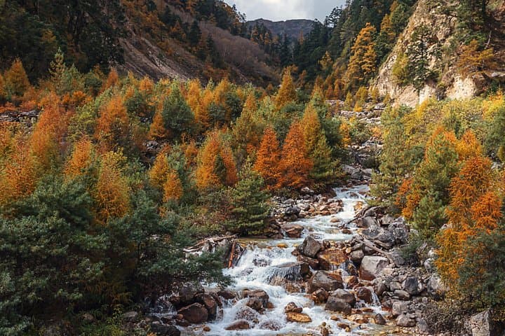 Manaslu Circuit Trek: 15-Day Larkya La Pass Adventure in Nepal photo 3