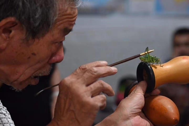 Private Beijing Walking Tour: Lama Temple, Confucius Temple, Hutong Life & Cricket Show photo 2