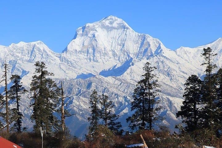 Mohare Danda Trek: Off-the-Beaten-Path Annapurna Ridge Hike photo 2