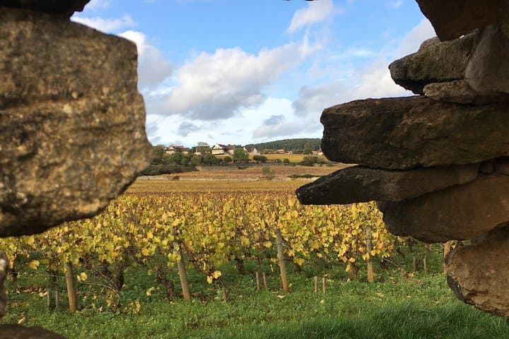 Meursault Vineyard Walk: Burgundy Wine Tour & Tasting photo 2