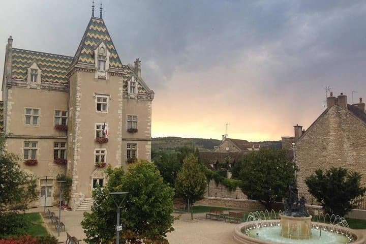Meursault Vineyard Walk: Burgundy Wine Tour & Tasting photo 3