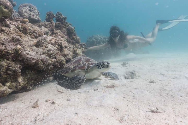 Introduction to Freediving in Eilat: Beginner Freediver Course & 20m Training photo 6