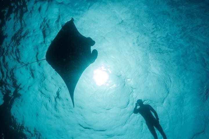 Introduction to Freediving in Eilat: Beginner Freediver Course & 20m Training