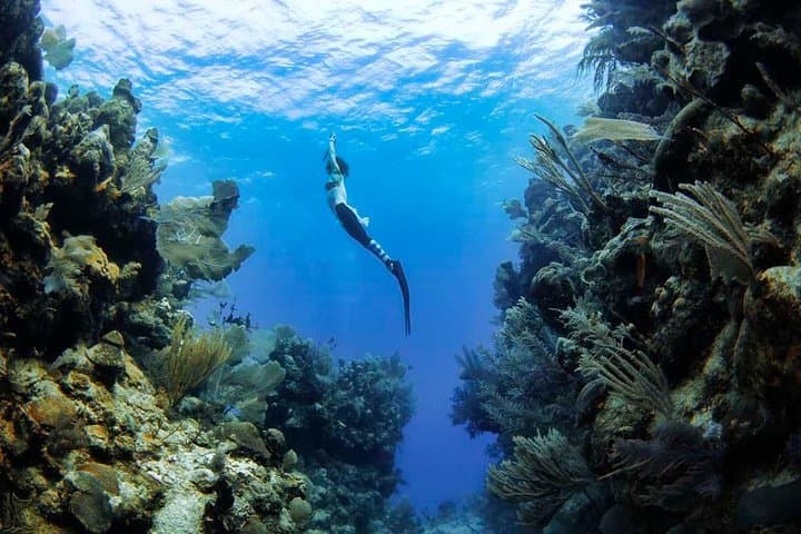 Introduction to Freediving in Eilat: Beginner Freediver Course & 20m Training photo 2