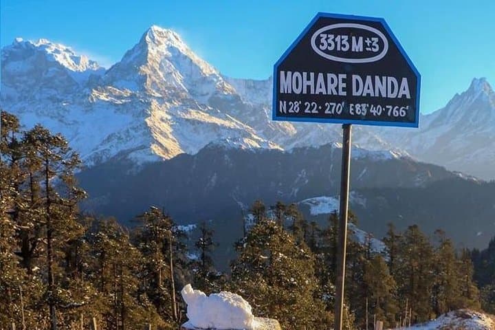 Mohare Danda Trek: Off-the-Beaten-Path Annapurna Ridge Hike