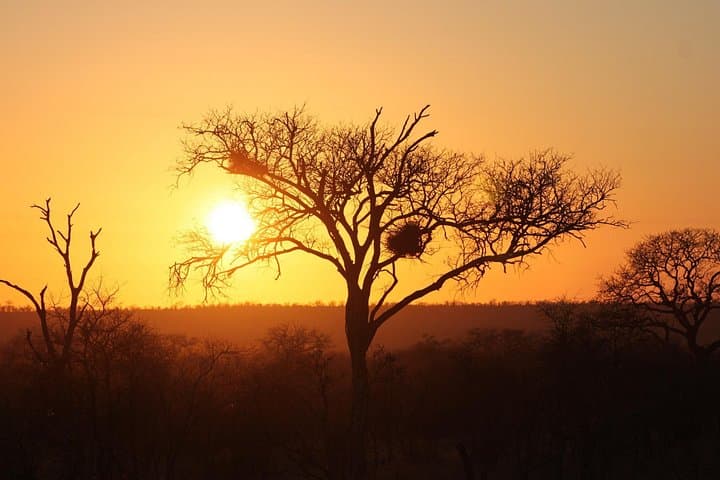 3-Day Kruger National Park Safari: Big Five, Blyde River Canyon & Campfire Nights photo 1