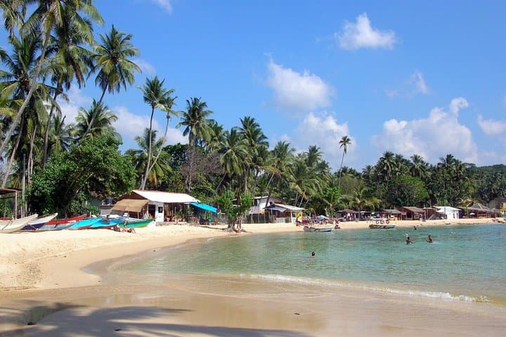 Galle Fort & South Coast Day Tour from Colombo: Forts, Turtles and River Madu photo 4
