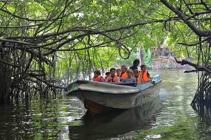 Galle Fort & South Coast Day Tour from Colombo: Forts, Turtles and River Madu photo 5