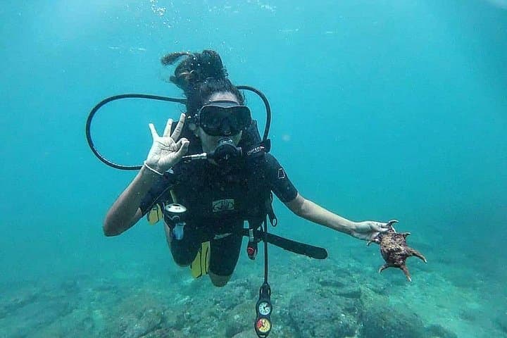 Scuba Diving at Unawatuna: Shipwrecks, Coral Reefs & PADI Guided Dives photo 4