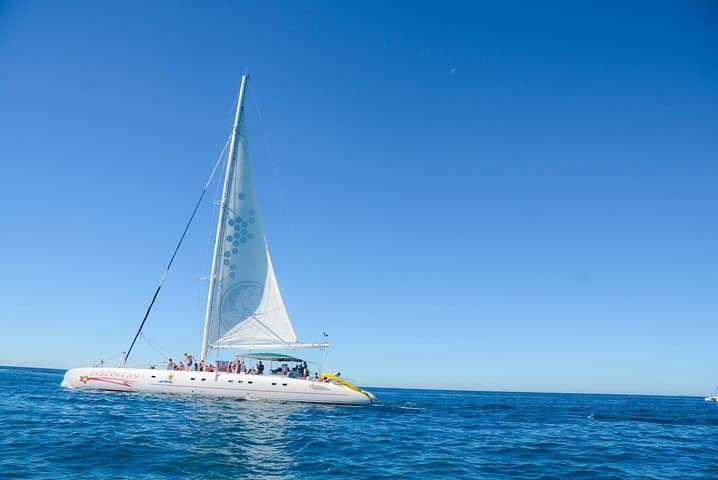 Saona Island Day Tour from Punta Cana — Catamaran, Natural Pool & Beach Buffet