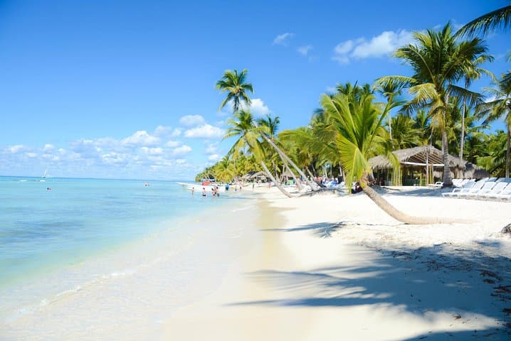 Saona Island Day Tour from Punta Cana — Catamaran, Natural Pool & Beach Buffet photo 6