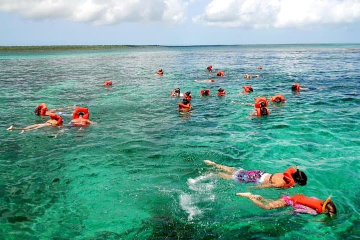 Catalina Island Day Trip: Snorkel Pristine Reefs from La Romana photo 6