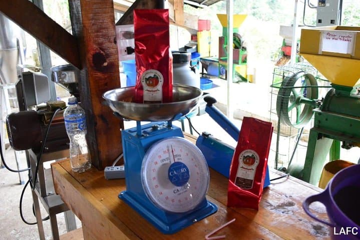 Inside Los Sauces: Coffee Micro‑Mill Tour in Orosi Valley photo 4