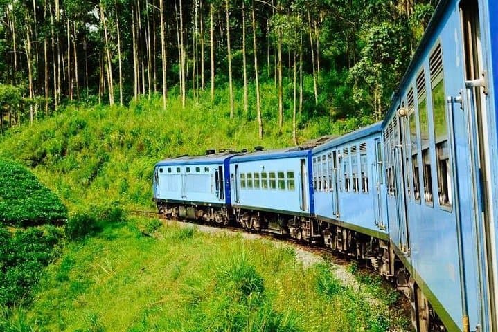 4-Day Horton Plains Hike and Kandy–Nuwara Eliya Scenic Train Tour photo 1