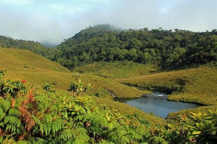 4-Day Horton Plains Hike and Kandy–Nuwara Eliya Scenic Train Tour photo 4