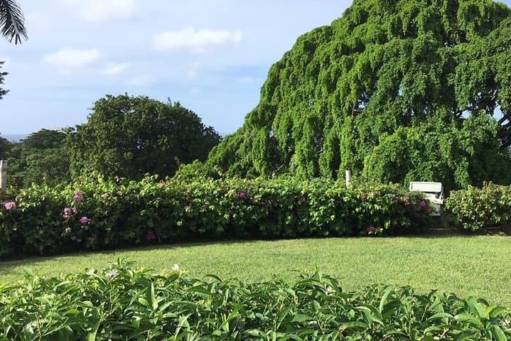 Rose Hall Great House Haunted Day & Night Tour — Montego Bay Guided Visit photo 2