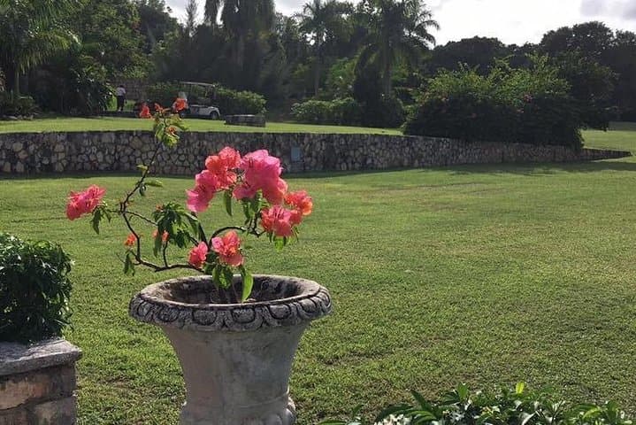Rose Hall Great House Haunted Day & Night Tour — Montego Bay Guided Visit photo 5