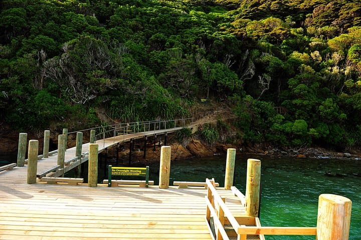 Motuara Island Bird Sanctuary & Ship Cove Cruise from Picton — Wildlife, History & Sound Scenery photo 3