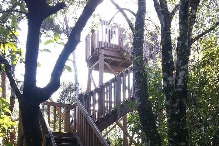 Motuara Island Bird Sanctuary & Ship Cove Cruise from Picton — Wildlife, History & Sound Scenery photo 4