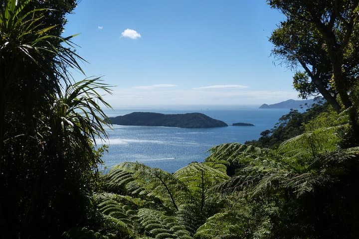 Motuara Island Bird Sanctuary & Ship Cove Cruise from Picton — Wildlife, History & Sound Scenery photo 1