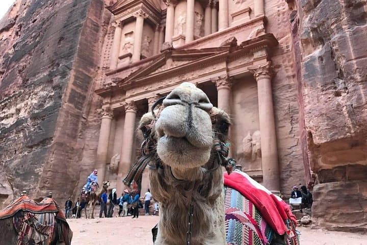 5-Day Southern Jordan Tour: Wadi Rum, Petra & Dead Sea from Aqaba photo 3