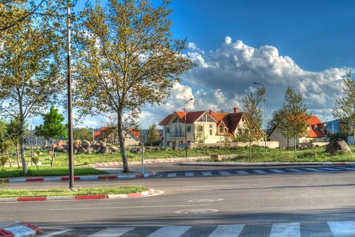 Middle Atlas Day Trip from Fez: Ifrane, Azrou & Cedar Forests photo 3