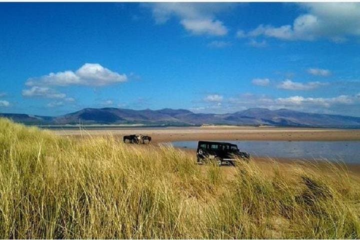 Killarney National Park Horseback Ride — Guided 1-Hour Trail at Knockreer Estate photo 6