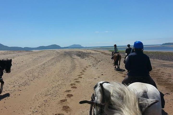 Explore Killarney National Park on a Scenic 2-Hour Guided Horseback Ride photo 4