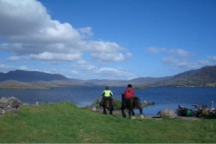 Explore Killarney National Park on a Scenic 2-Hour Guided Horseback Ride