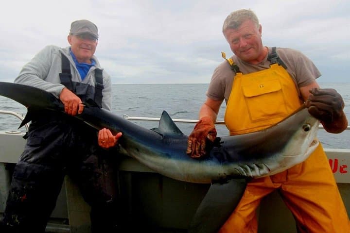 Full-Day Deep-Sea Angling off Connemara: Guided Fishing from Cleggan photo 4
