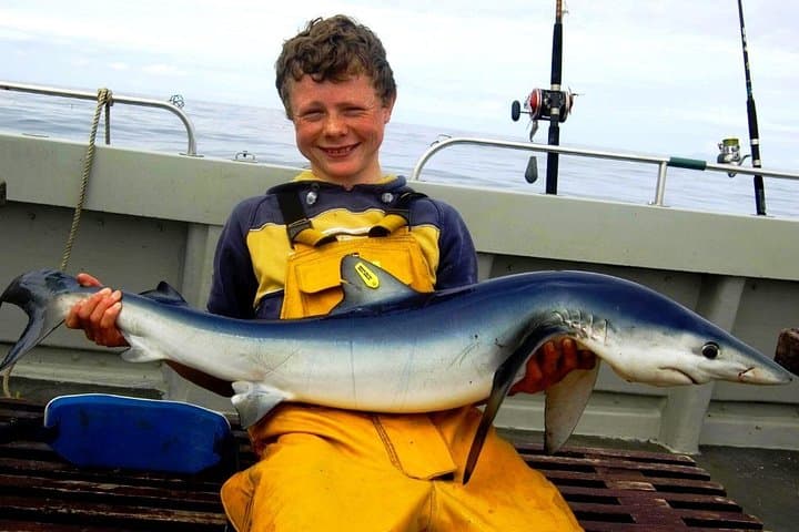 Connemara Deep Sea Angling: Private Day Trip from Cleggan photo 3
