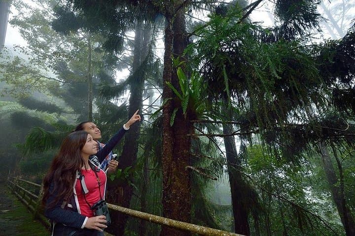 Kinabalu Park & Poring Hot Springs: Day Trip from Kota Kinabalu photo 3