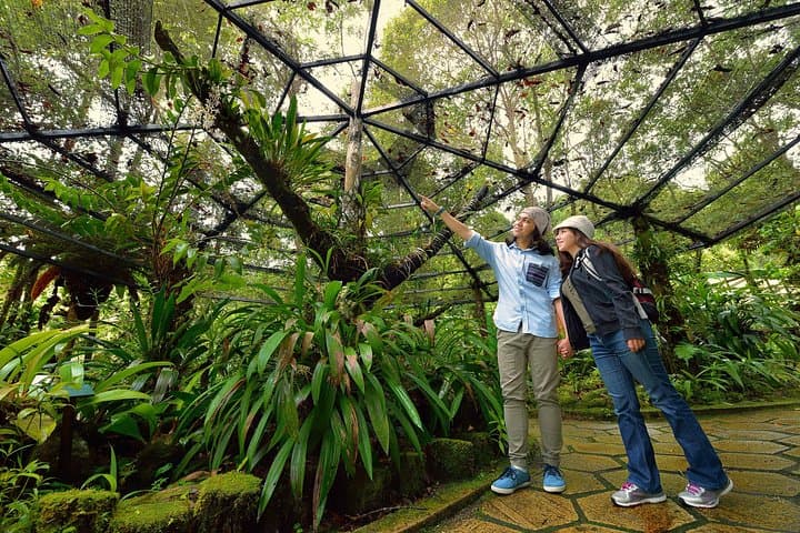 Kinabalu Park & Poring Hot Springs: Day Trip from Kota Kinabalu
