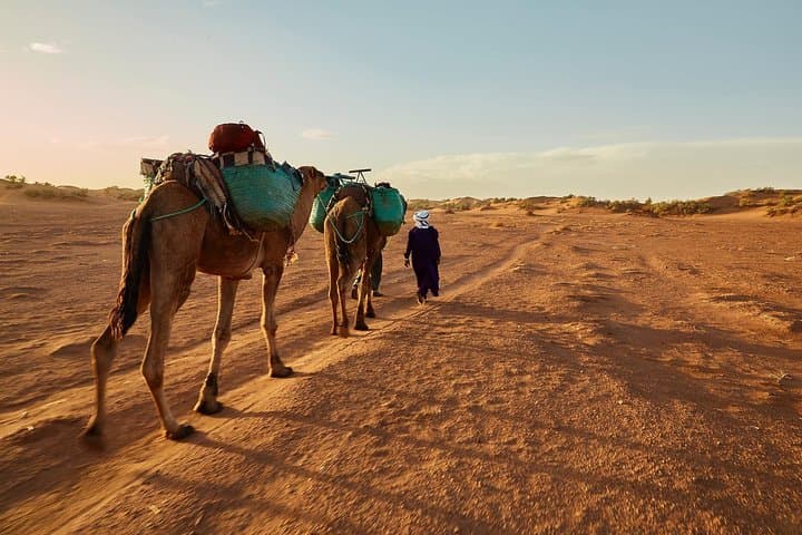 Sahara Express: 5-Day Marrakech to Zagora Desert Adventure photo 3