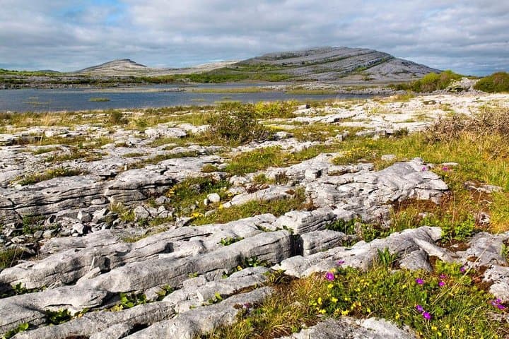 Mullaghmore Hill Walk: 2-Hour Guided Hike in the Burren, Co. Clare photo 2