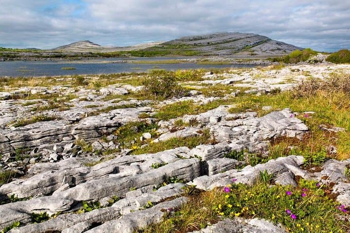 Stones and Stories: Private Guided Walk through the Burren (2 Hours) photo 5