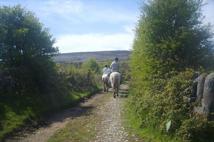 Mountain Trail Horseback Ride near Lisdoonvarna — 2-Hour Guided Trek photo 3
