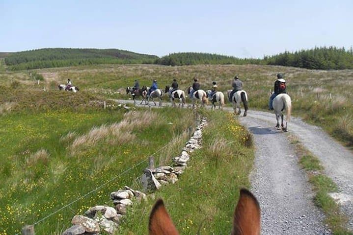Ride the Burren: Guided Horse Trek from Lisdoonvarna (3–4 hrs) photo 2