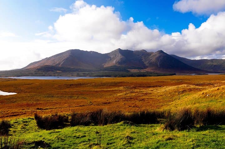 Connemara Wild Red Deer Safari: Early-Morning Deer Watching in Connemara National Park photo 3