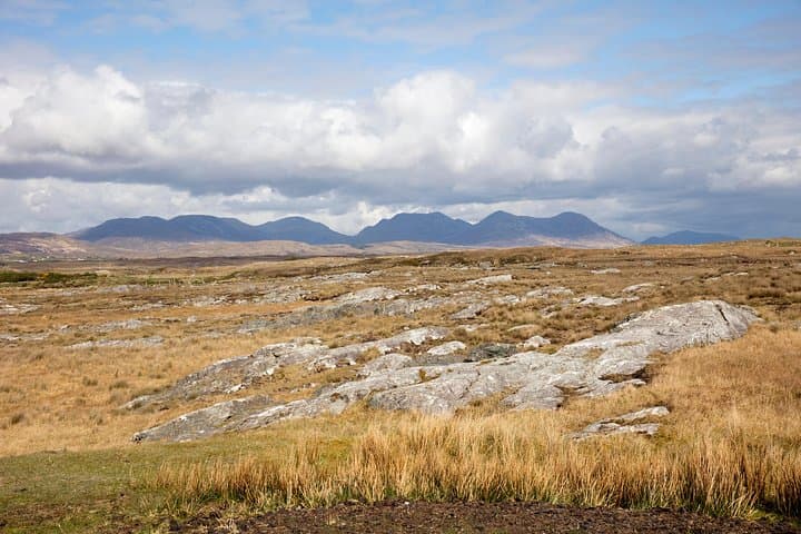 Connemara Wild Red Deer Safari: Early-Morning Deer Watching in Connemara National Park photo 4