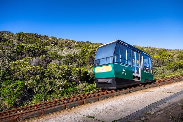 Ride the Cape Point Flying Dutchman Funicular — Skip the Steep Climb to the Old Lighthouse photo 5