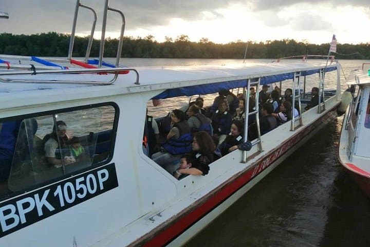 Kuala Selangor Firefly Boat Tour: Night Cruise, Seafood Dinner & Mangrove Lights photo 1