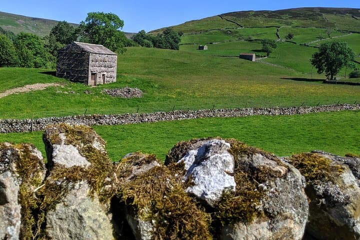 Yorkshire Dales: All Creatures Great & Small Small-Group Tour from York photo 6