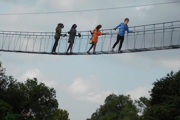 Ngare Ndare Day Trip: Canopy Walk, Blue Pools & Mt. Kenya Views