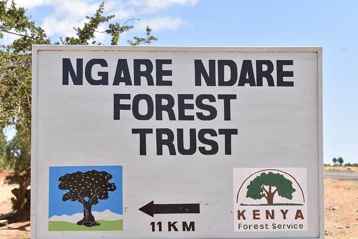 Ngare Ndare Day Trip: Canopy Walk, Blue Pools & Mt. Kenya Views photo 2